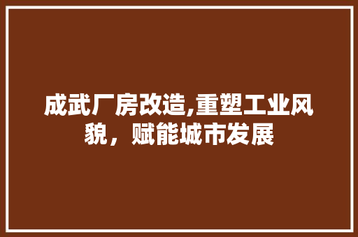 成武厂房改造,重塑工业风貌，赋能城市发展