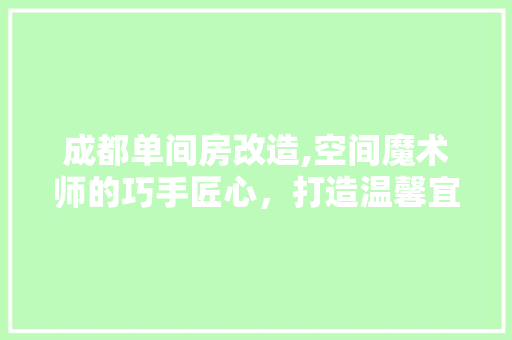 成都单间房改造,空间魔术师的巧手匠心，打造温馨宜居新天地
