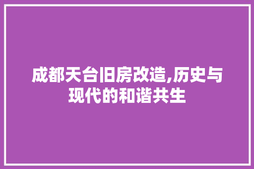 成都天台旧房改造,历史与现代的和谐共生