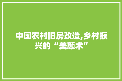 中国农村旧房改造,乡村振兴的“美颜术”