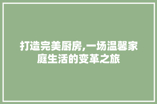 打造完美厨房,一场温馨家庭生活的变革之旅 建筑设计