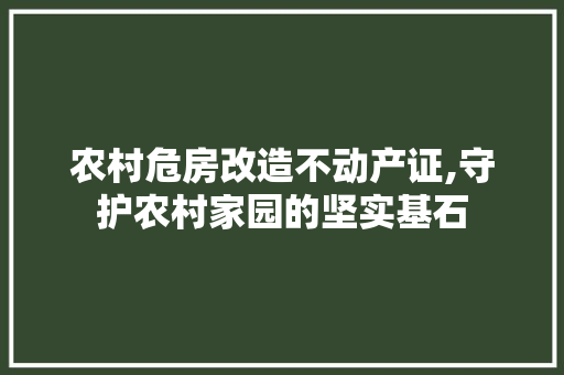 农村危房改造不动产证,守护农村家园的坚实基石 墙面装饰