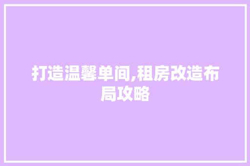 打造温馨单间,租房改造布局攻略