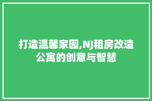 打造温馨家园,NJ租房改造公寓的创意与智慧