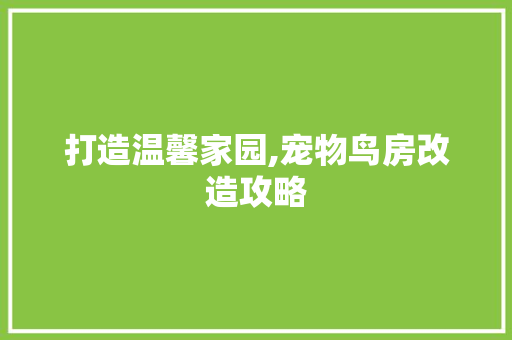 打造温馨家园,宠物鸟房改造攻略 装修攻略