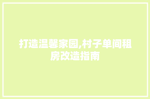 打造温馨家园,村子单间租房改造指南