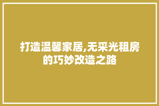 打造温馨家居,无采光租房的巧妙改造之路