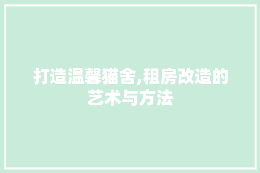 打造温馨猫舍,租房改造的艺术与方法 建筑设计