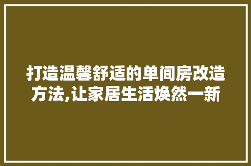 打造温馨舒适的单间房改造方法,让家居生活焕然一新 门窗装修