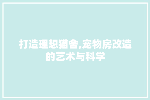 打造理想猫舍,宠物房改造的艺术与科学