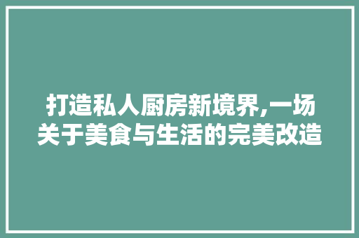 打造私人厨房新境界,一场关于美食与生活的完美改造