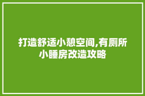 打造舒适小憩空间,有厕所小睡房改造攻略