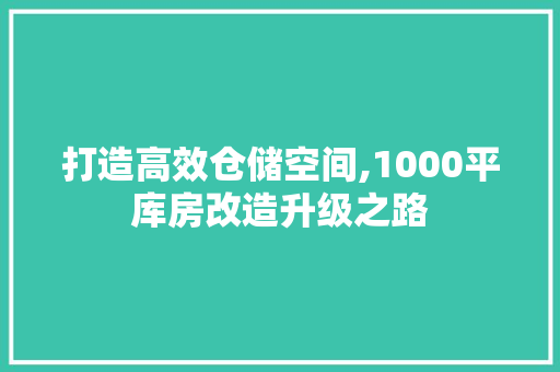 打造高效仓储空间,1000平库房改造升级之路
