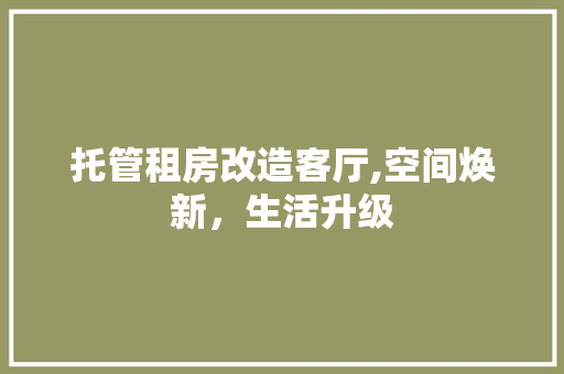 托管租房改造客厅,空间焕新，生活升级
