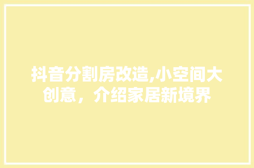 抖音分割房改造,小空间大创意，介绍家居新境界 装修攻略