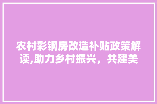 农村彩钢房改造补贴政策解读,助力乡村振兴，共建美好家园