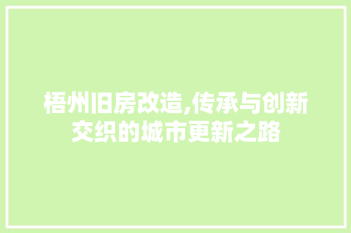 梧州旧房改造,传承与创新交织的城市更新之路 装修攻略