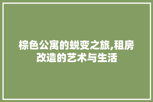 棕色公寓的蜕变之旅,租房改造的艺术与生活