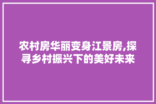 农村房华丽变身江景房,探寻乡村振兴下的美好未来