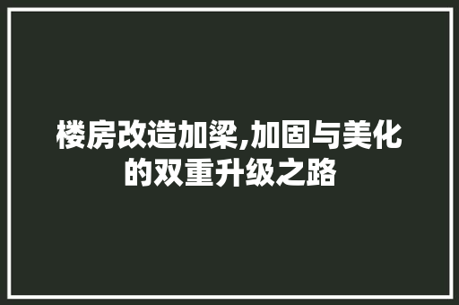 楼房改造加梁,加固与美化的双重升级之路 庭院装修