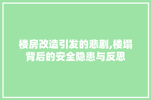 楼房改造引发的悲剧,楼塌背后的安全隐患与反思