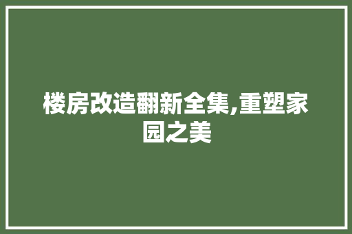 楼房改造翻新全集,重塑家园之美