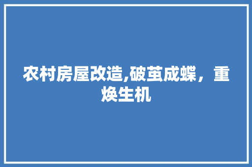 农村房屋改造,破茧成蝶，重焕生机