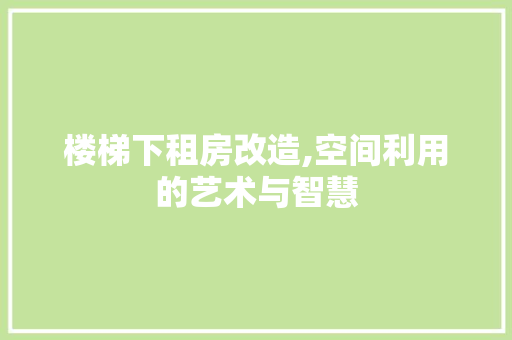 楼梯下租房改造,空间利用的艺术与智慧