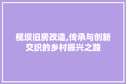 榄坝旧房改造,传承与创新交织的乡村振兴之路