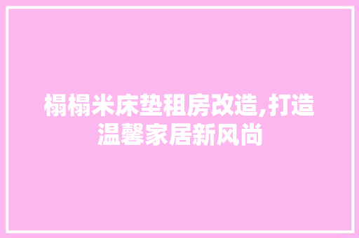 榻榻米床垫租房改造,打造温馨家居新风尚