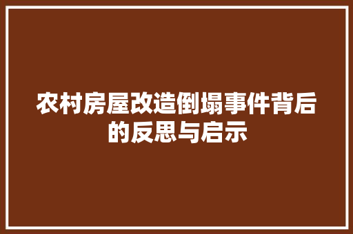 农村房屋改造倒塌事件背后的反思与启示