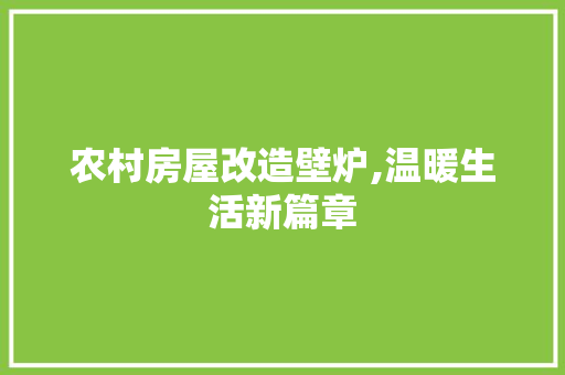 农村房屋改造壁炉,温暖生活新篇章