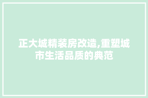 正大城精装房改造,重塑城市生活品质的典范