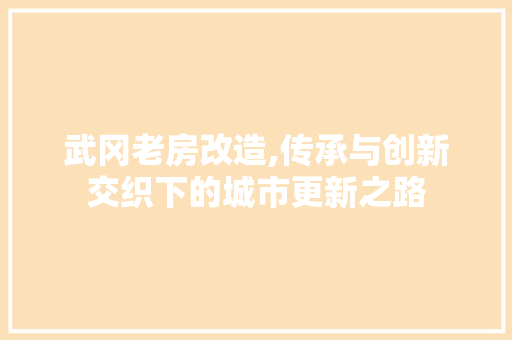 武冈老房改造,传承与创新交织下的城市更新之路 装修攻略