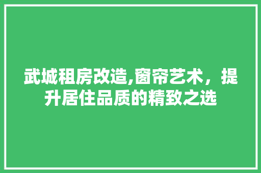 武城租房改造,窗帘艺术，提升居住品质的精致之选 装修攻略