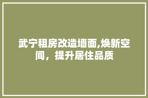 武宁租房改造墙面,焕新空间，提升居住品质