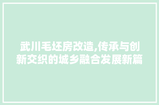 武川毛坯房改造,传承与创新交织的城乡融合发展新篇章