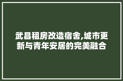 武昌租房改造宿舍,城市更新与青年安居的完美融合 装修攻略