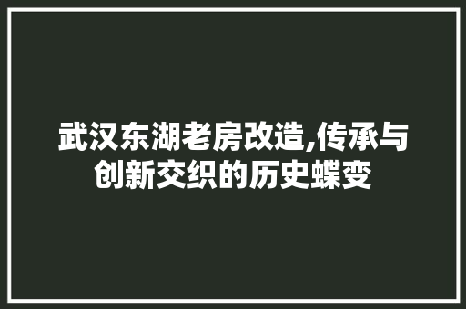武汉东湖老房改造,传承与创新交织的历史蝶变 地面装修 武汉东湖老房改造,传承与创新交织的历史蝶变 地面装修
