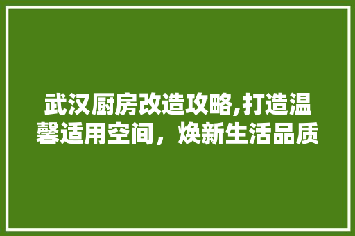 武汉厨房改造攻略,打造温馨适用空间，焕新生活品质