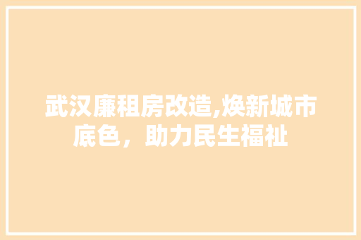 武汉廉租房改造,焕新城市底色，助力民生福祉
