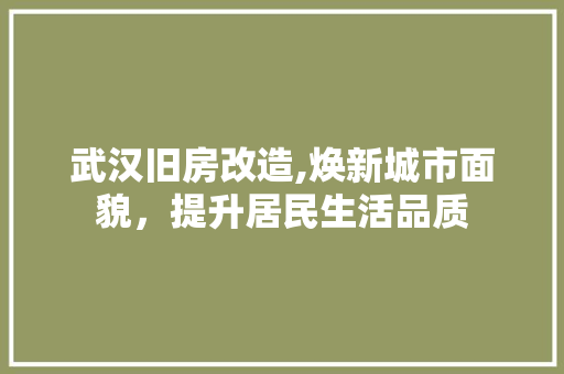 武汉旧房改造,焕新城市面貌，提升居民生活品质