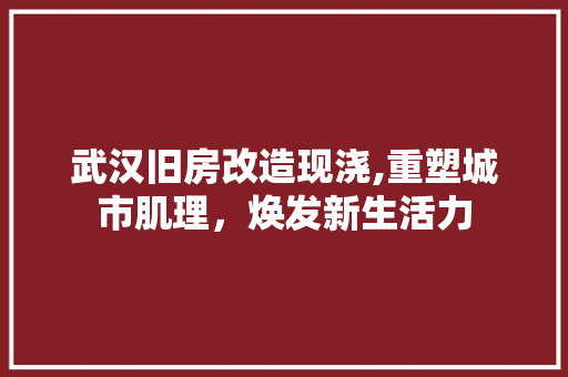武汉旧房改造现浇,重塑城市肌理，焕发新生活力 隔断设计