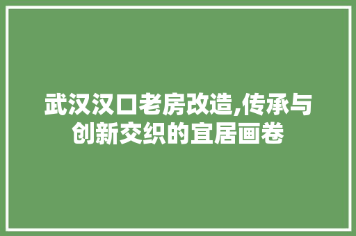 武汉汉口老房改造,传承与创新交织的宜居画卷