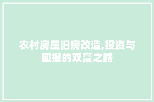 农村房屋旧房改造,投资与回报的双赢之路