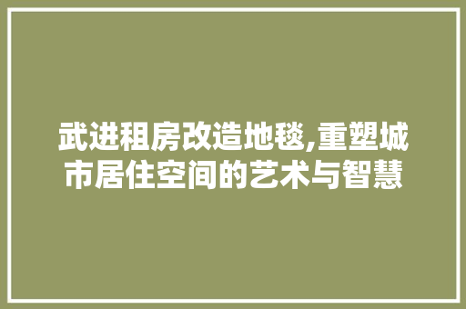 武进租房改造地毯,重塑城市居住空间的艺术与智慧