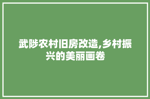 武陟农村旧房改造,乡村振兴的美丽画卷 装修材料