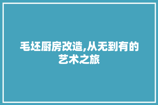 毛坯厨房改造,从无到有的艺术之旅 门窗装修