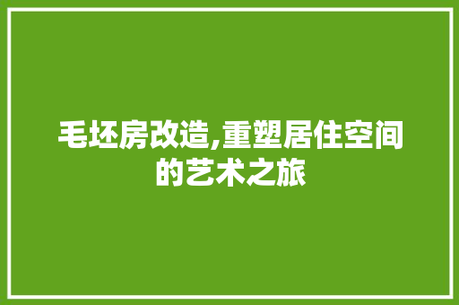 毛坯房改造,重塑居住空间的艺术之旅 门窗装修
