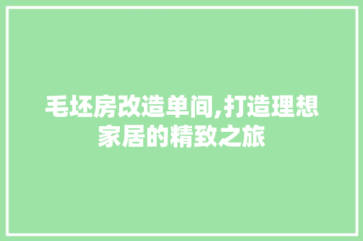 毛坯房改造单间,打造理想家居的精致之旅